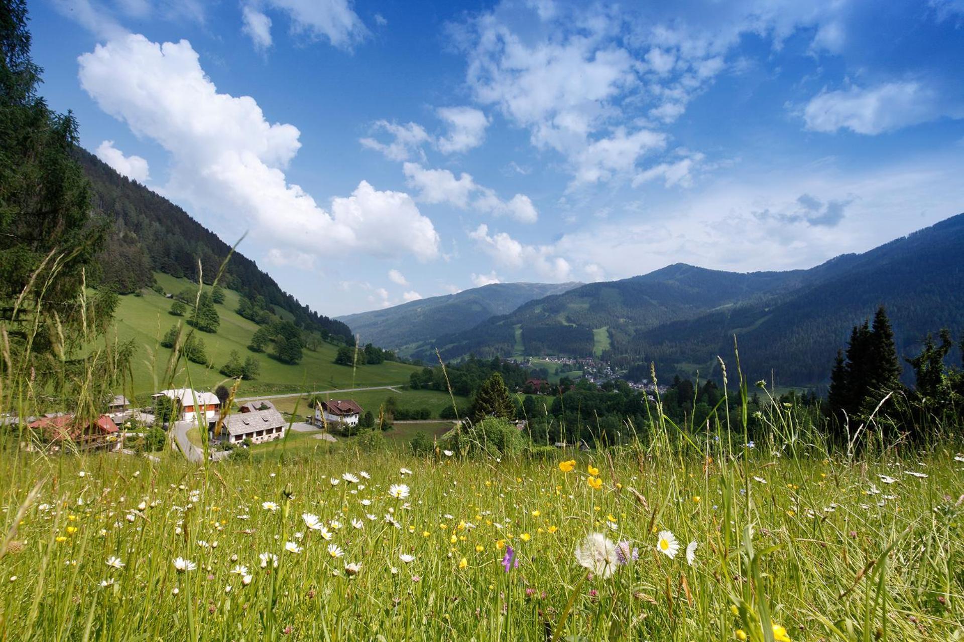 Pension & Appartements Ronacherhof Bad Kleinkirchheim Kültér fotó