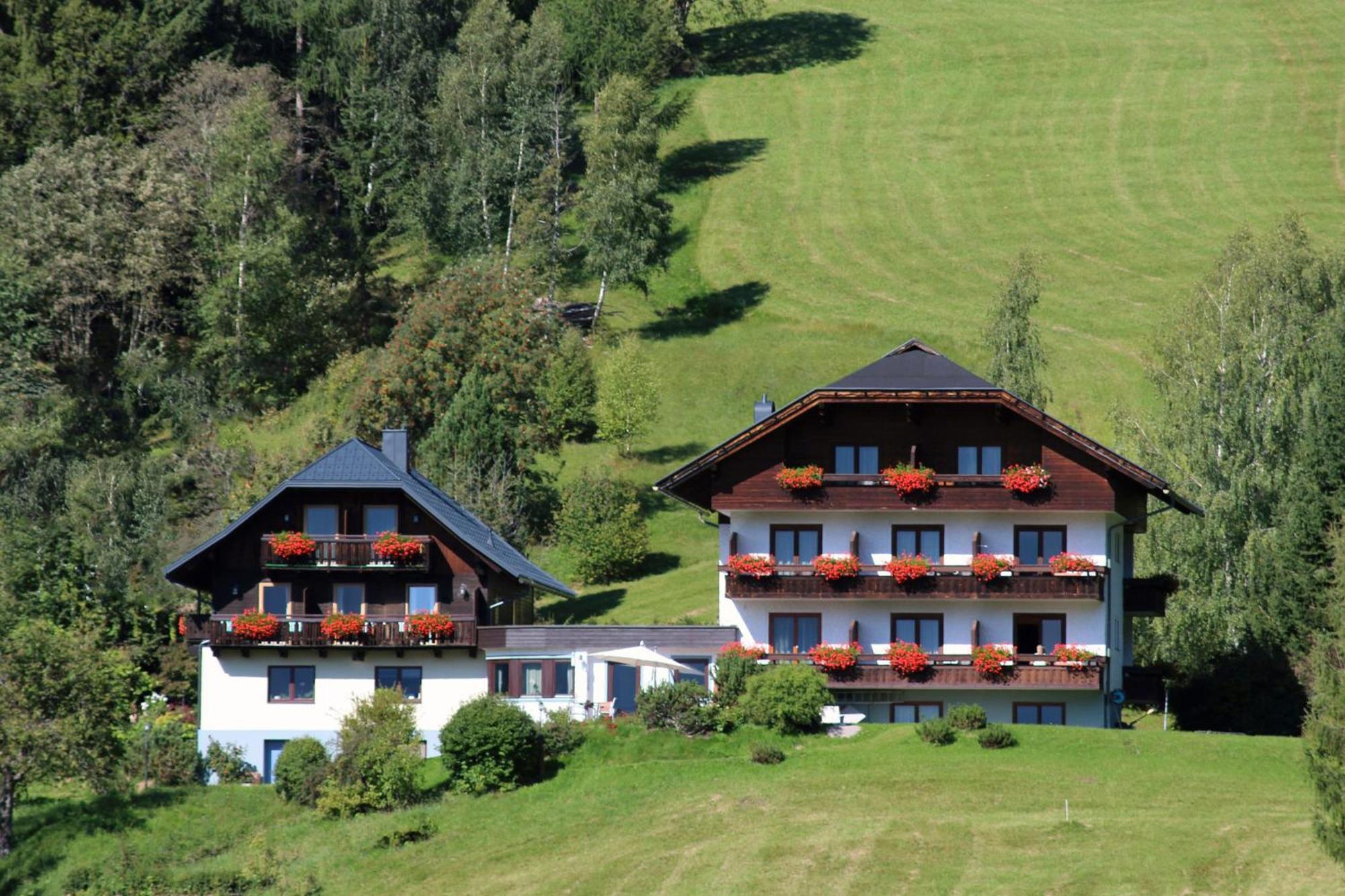 Pension & Appartements Ronacherhof Bad Kleinkirchheim Kültér fotó