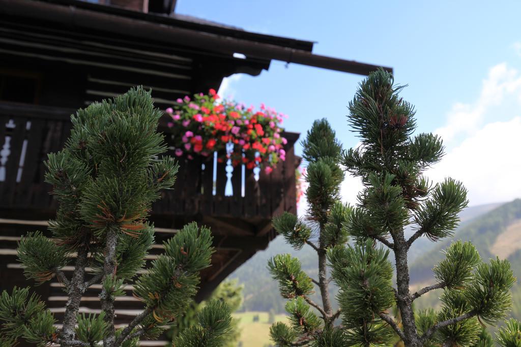 Pension & Appartements Ronacherhof Bad Kleinkirchheim Kültér fotó
