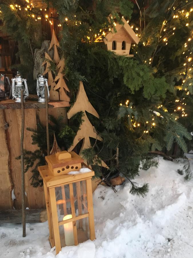 Pension & Appartements Ronacherhof Bad Kleinkirchheim Kültér fotó